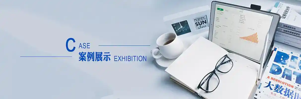 越城区软件开发